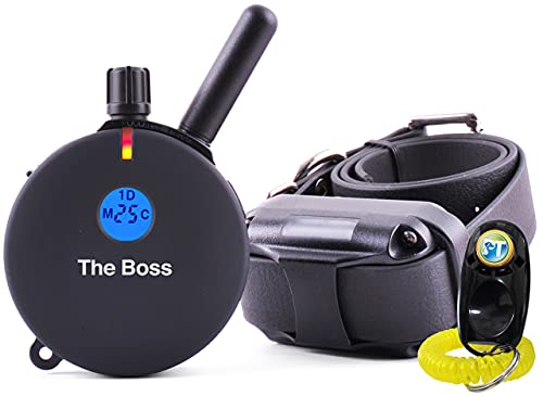 Télécommande étanche et colliers PETSTEK