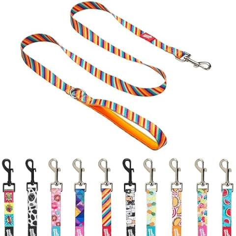 Cookie Paws Comfortable Dog Leash for All Breeds Cover