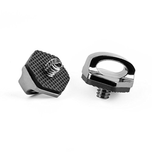 Zecti 1/4