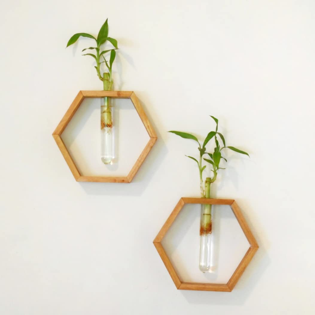 Storoot Wooden Honeycomb Hexagon Wall Hanging Planter Home Garden Decor and Handmade Gift for Plant Lover Hanging Flower Pot for Home Decoration Hanging Balcony Decoration (B09VYWZCM7) Amazon Price History, Amazon Price Tracker