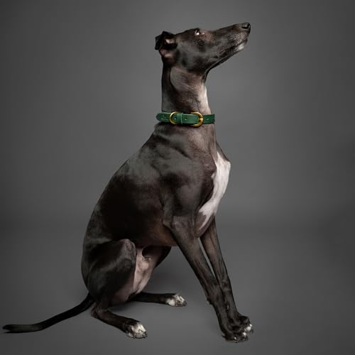Image of NOAH & PAW Extra Small Dog and Cat Collar, Genuine Leather Dog Collar with Oil-Wax Finish, Heavy Duty Metal Buckle, Unisex Colors for Girl and Boy, Neck Size 9 inch-12 inch (Dark Blue).