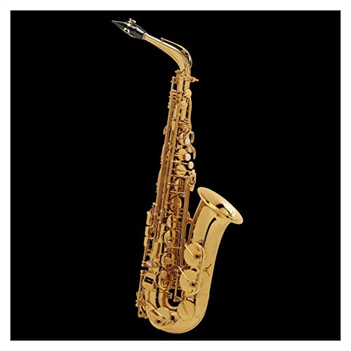 EB AgTbNX y TbNX }EXs[X S TbNX (J[ : 3)