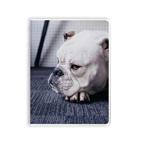 Carnet pour chien et chat gris : le journal de bord souple pour suivre la vie de votre animal