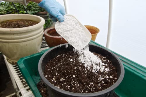 Perlita Expandida Substrato P/Jardinagem Plantas Pacote 3L