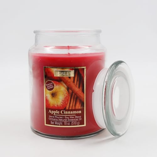 Hosley® 18OZ Clear Glass Fragrance Jar Candle- Apple Cinnamon. Ideal Gift for Party Favor Weddings Spa Reiki Meditation Bathroom Settings