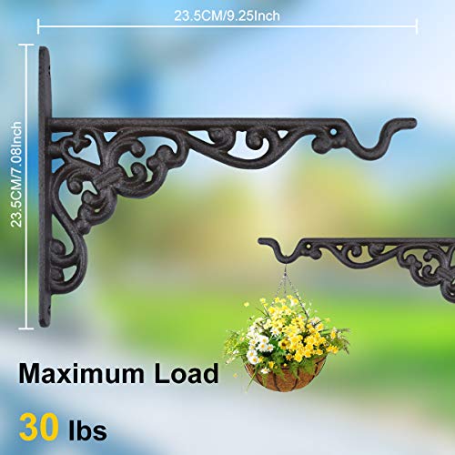 Enenes Cast Iron Plant Hanger 2 Pack Hanging Planters Basket Wall Hook With Screws Vintage Metal Wall Stands For Bird Feeders Planters Lanterns Wind Chimes Wall Brackets #TOP4