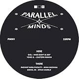 Parallel Minds