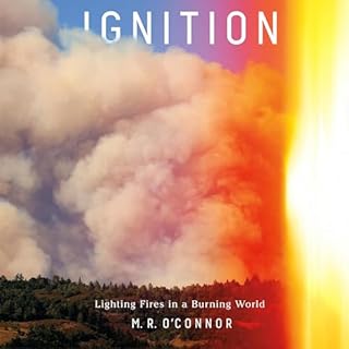 Ignition Audiolibro Por M.R. O'Connor arte de portada