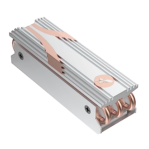 SABRENT disipador de calor para PS5 para jugar sin caídas