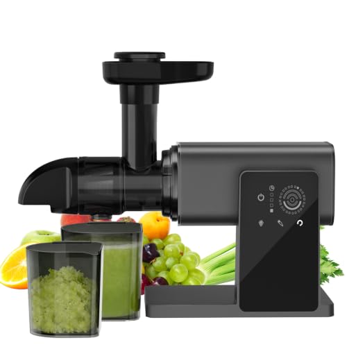 Cold Press Juicer Machines, Slow Masticating Juicers with LED Smart Touch Screen, Professional Extractor for Leafy Greens, Kale & Fibrous Vegetables, 2 Modes & Reverse, BPA-Free