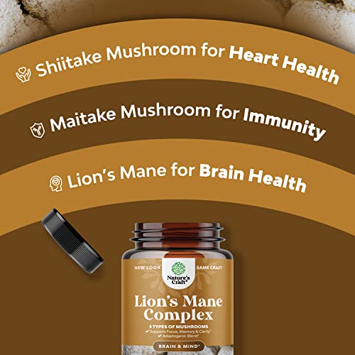 Nootropic Lions Mane Mushroom Capsules - Lion’s Mane Mushroom Complex Immune System Booster And Brain Supplement - Mushroom Extract Focus Pills Brain Booster And Mood Support With Reishi Mushroom #TOP3
