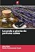 Lavanda a planta do perfume calmo: DE