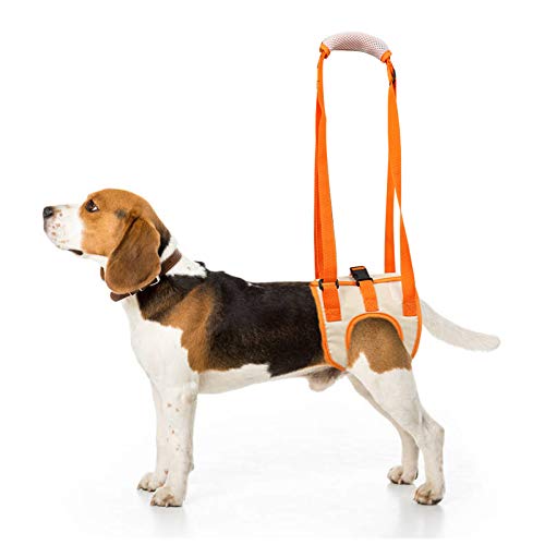 Rozkitch Dog Lift Harness, Pet Rear Support Aid Veterinarian Approved Sling For Old K9 Help With Poor Stability, Back Leg Hip Disabled Joint Injury Elderly And Arthritis Acl Rehabilitation Rehab #TOP6