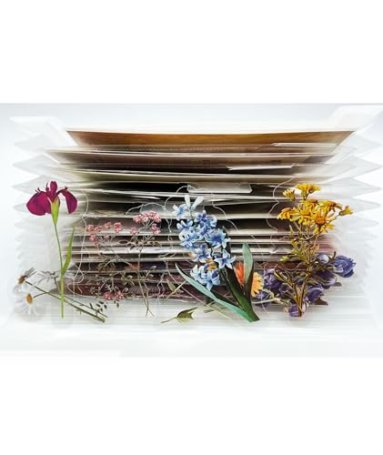 Image of Expanding File Folder 13 Pocket Portable Organ File Bag Organizer Accordion for Stickers Washi Tapes Documents Papers School Office Supplies Receipt Bills, A6 Size