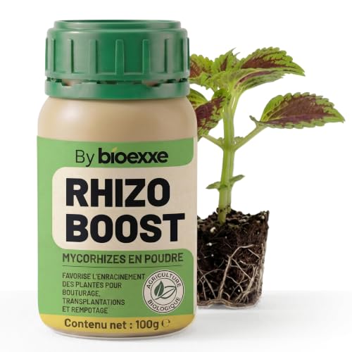 BIOEXXE Hormone de bouturage en poudre avec Trichoderma et Mycorhize, 100 g, Fabriqué en Italie