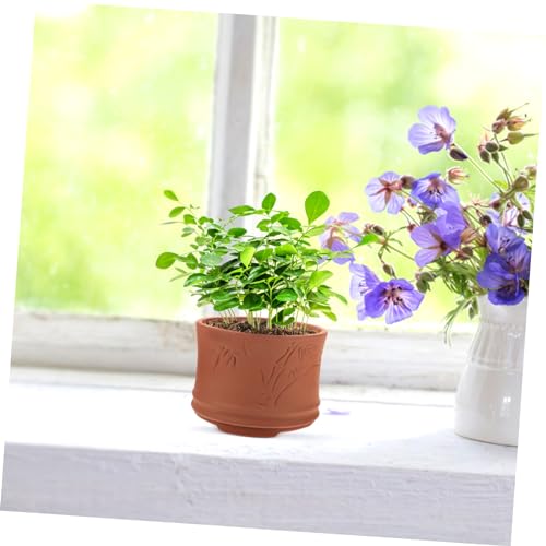Review de Maceta jardinera de barro más recomendados. 12 Imagen adicional