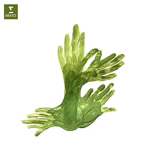 Alexandre Tharaud & Bertrand Chamayou