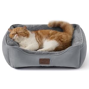 BEDSURE Katzenbett waschbar Katzen Bettchen – 51x41cm Katzenkorb Indoor mit Rutschfester Basis, quadratisches Hundebett für kleine Hunde mit weichem Rand, grau