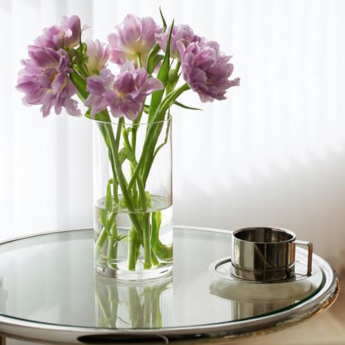 Tbwind CGCV 12Pcs Glass Cylinder Vases thumb #5