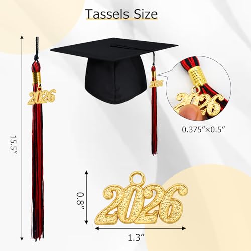 Image of GraduationMall Single&Multiple Color Graduation Tassel with 2026 Year Charm 9 inch