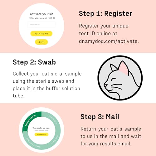 DNA MY DOG – Cat Allergy Test | Vet Recommended Test for Itchy, Sensitive Cats | Easy-to-Use Kit | Non-Invasive Cheek Swab not a Fur Test | Scientifically Valid | Includes Personalized Allergy Report - Thumbnail 7