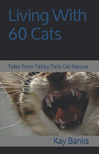 Living With 60 Cats: Tales from Tabby Tails Cat Rescue
