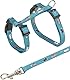Trixie 4144 Kätzchengeschirr mit Leine, Nylon, 21–33 cm/8 mm, 1,20 m, farblich sortiert,1 Stück