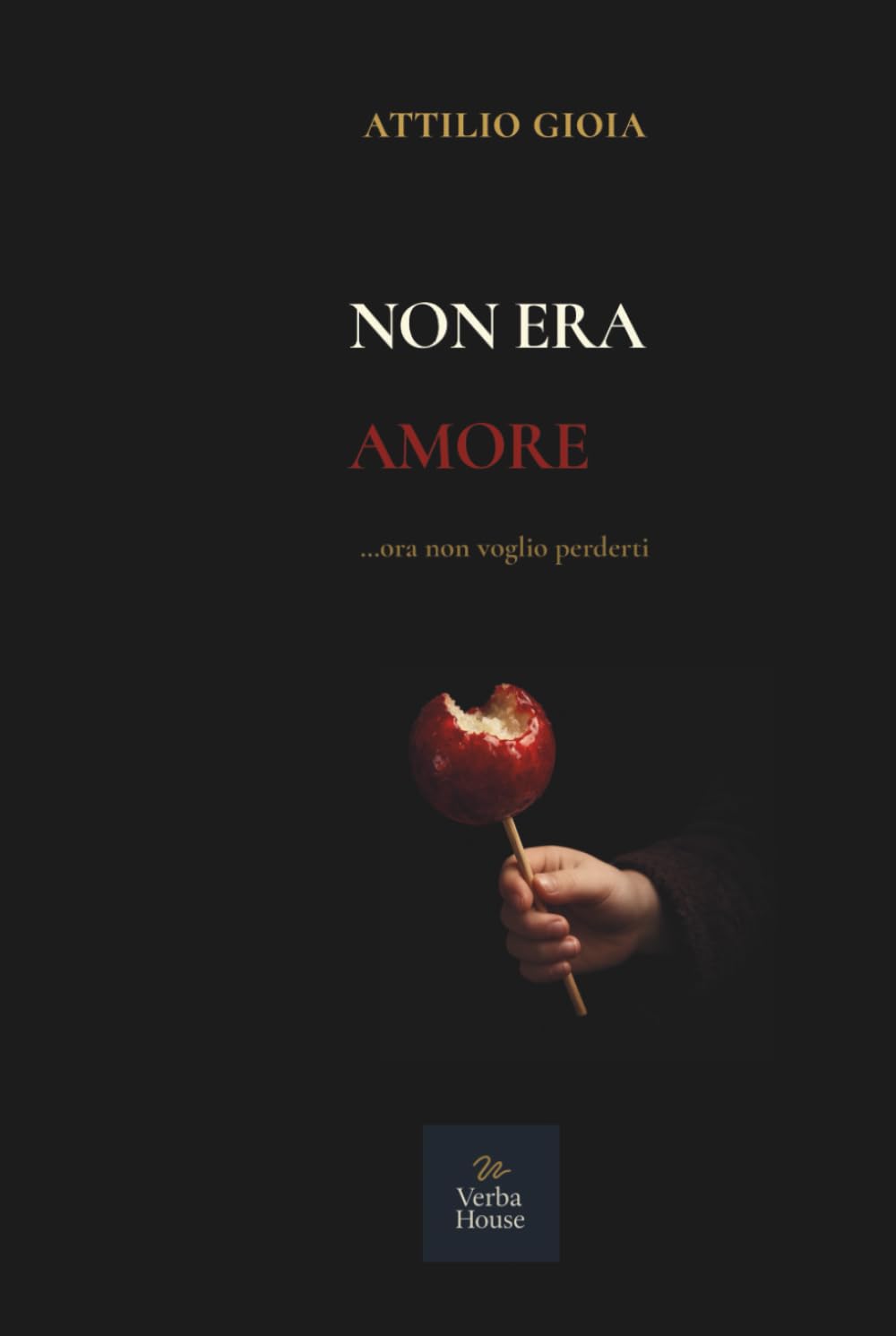 Non era amore: ...ora non voglio perderti