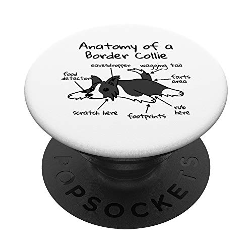 Anatomia Di Un Border Collie Cane PopSockets PopGrip: Impugnatura per Telefoni Cellulari e Tablet Intercambiabile