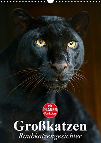 Preisvergleich Produktbild Großkatzen. Raubkatzengesichter (Wandkalender 2021 DIN A3 hoch)