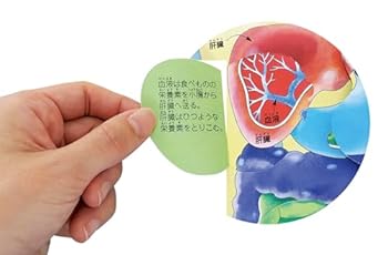 Tankobon Hardcover ??????????????????????57???? [Japanese] Book