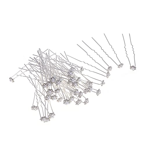 Beavorty 40 Ԃ̂񂴂 p[  wA[Nbv ̃wANbv v ^̃wAs UwAs o̔  E ̃wAs uC_wAs Silver