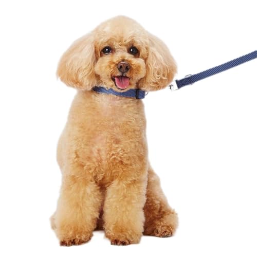 AhCg (ADD. MATE) p \tgXLbvJ[Su[