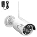 Hiseeu 2MP 1080P Security Camera,Waterproof Outdoor Indoor 3.6mm Lens IP Cut Day&Night Vision with Power Adapter Compatible with Hiseeu 8ch Camera System(White)