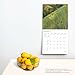 Idaho Wild & Scenic | 2025 12 x 24 Inch Monthly Square Wall Calendar | Plastic-Free | BrownTrout | USA United States of America Rocky Mountain State Nature