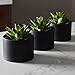 SEEKO Artificial Succulents 3 Pack Faux Potted Plant Decor - Realistic Faux Succulents Perfect Small Desk Plant, Home Office, Kitchen, Book Shelf, or Bathroom Decor (Matte Black Pot)