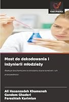 Most do dekodowania i inzynierii mlodziezy (Polish Edition) 620902906X Book Cover