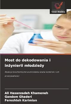 Most do dekodowania i inzynierii mlodziezy (Polish Edition)