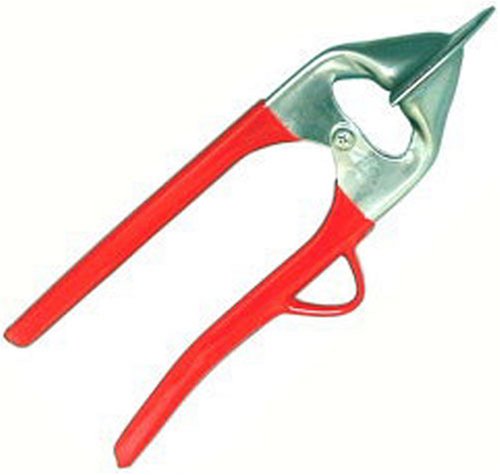 Amazon｜ウニ割り器 『ウニ割りくん』｜クラッカー オンライン通販