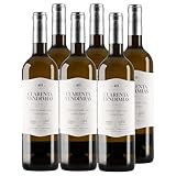 Cuarenta Vendimias Verdejo - Vino Blanco DO Rueda (6 Botellas x 750ml)
