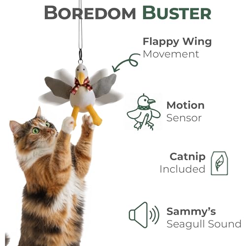 Juguete para gatos con movimiento Flappy Bird recargable con hierba gatera 3