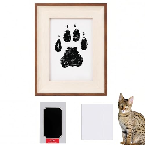 Lifetips ToiLbg Savannah Cat ybgp  X^v Lbg ^  ``X^v `쐬Lbg LO  Ȃ `    ` ^ ȒP S y Ճpbh IWi vg