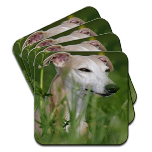 Fancy A Snuggle Whippet Dog In Field Set Of 4 Coasters