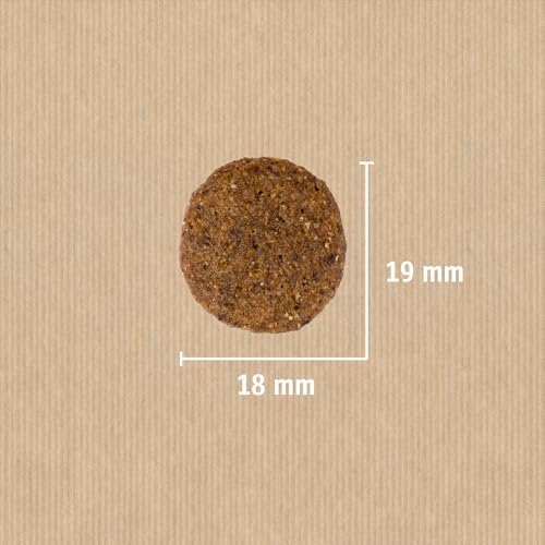 Christopherus Adult, Vollnahrung für ausgewachsene Hunde mit normaler bis gesteigerter Aktivität, Trockenfutter, Geflügel, Lamm, Ei, Reis, Krokettengröße ca. 1 cm, Erwachsener Hund, 12 kg