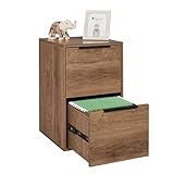LUCYPAL 2 Drawer File Cabinet,Wood File Cabinet with Hanging Bars for Letter Size,Wooden...