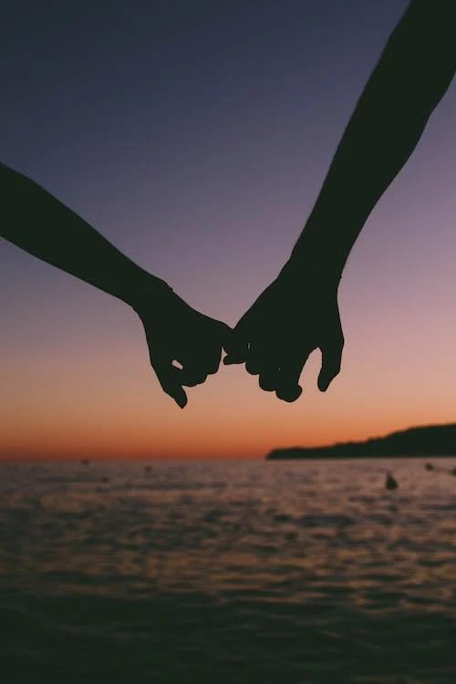 Silueta de pareja cogida de la mano - Puzzle de madera de 2000 piezas - Puzzles para adultos y jóvenes, juegos educativos