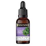 Soulflower Dreamcatcher Essential Oil Blend for Better Sleep & Relaxation, Aromatherapy, Home Diffuser - 100% Pure, Organic Therapeutic Grade, Natural & Undiluted Oil, 1 Fl Oz