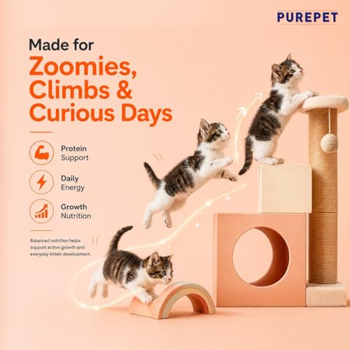 Image of Purepet Kitten Dry Cat Food 1.2kg Pack | Mackerel Flavour | Active Behaviour | Hairball Control |Urinary Tract Health | Nutrient Rich | Minerals