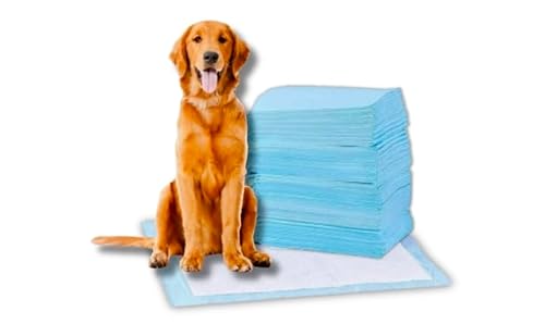 PET TRAINNING DISPOSABLE PEE PADS FOR ALL DOGS. LEAK-PROOF, PROTEC WITH ODOR CONTROL, 6 layer system that locks in moisture and prevents leaks, Neutralizes pet odors. LARGE size. 20 count, 60cm X 90cm