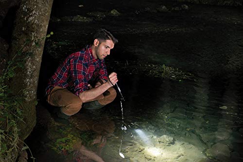 Brennenstuhl luxpr EMIUM batteria per lampada a